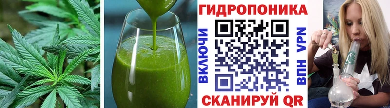 Cannafood конопля  blacksprut маркетплейс  Богучар 