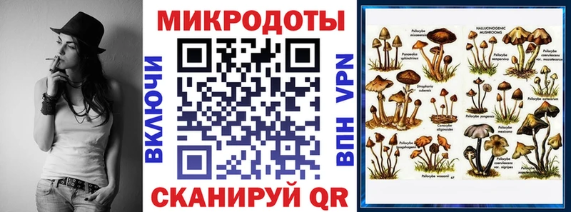 Псилоцибиновые грибы Psilocybine cubensis  Богучар 